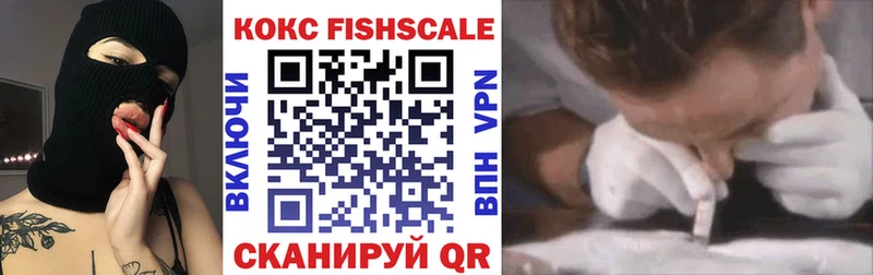купить закладку  Козловка  Cocaine FishScale 
