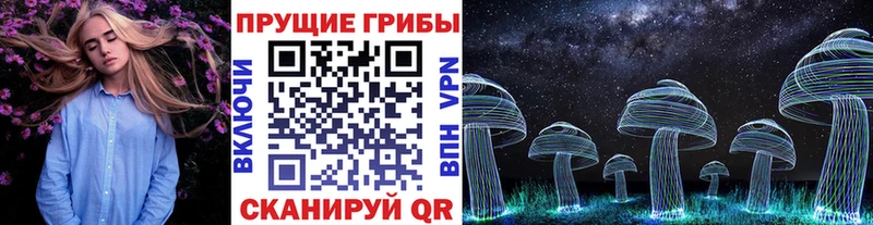 Галлюциногенные грибы прущие грибы  Козловка 