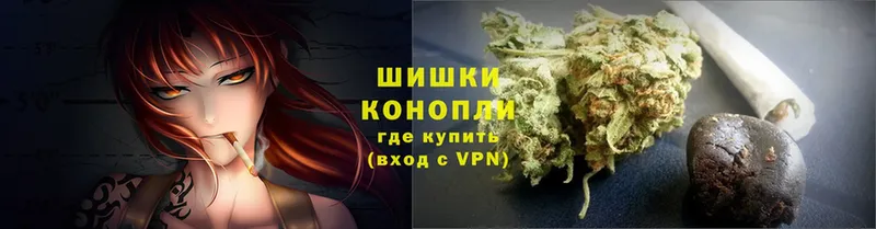 Шишки марихуана White Widow  наркотики  Козловка 